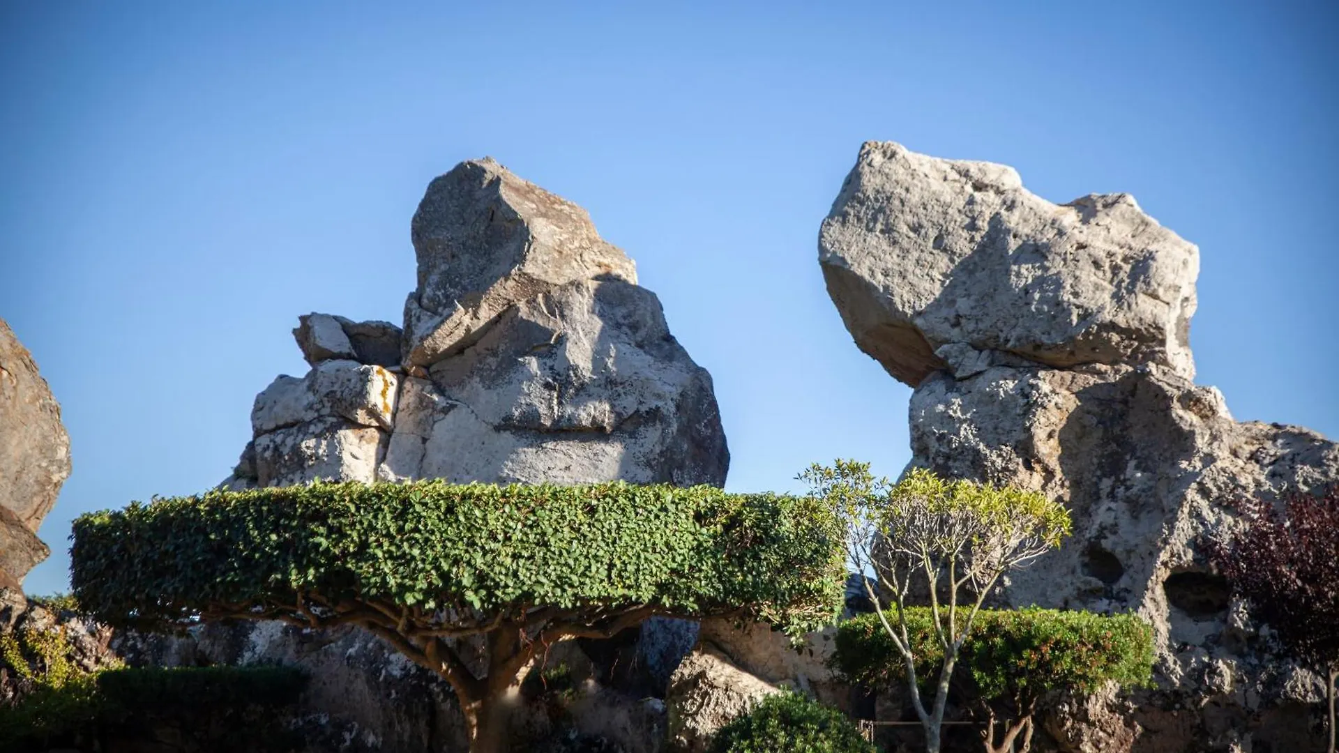 Love Garden Bolonia 0*,  Spain